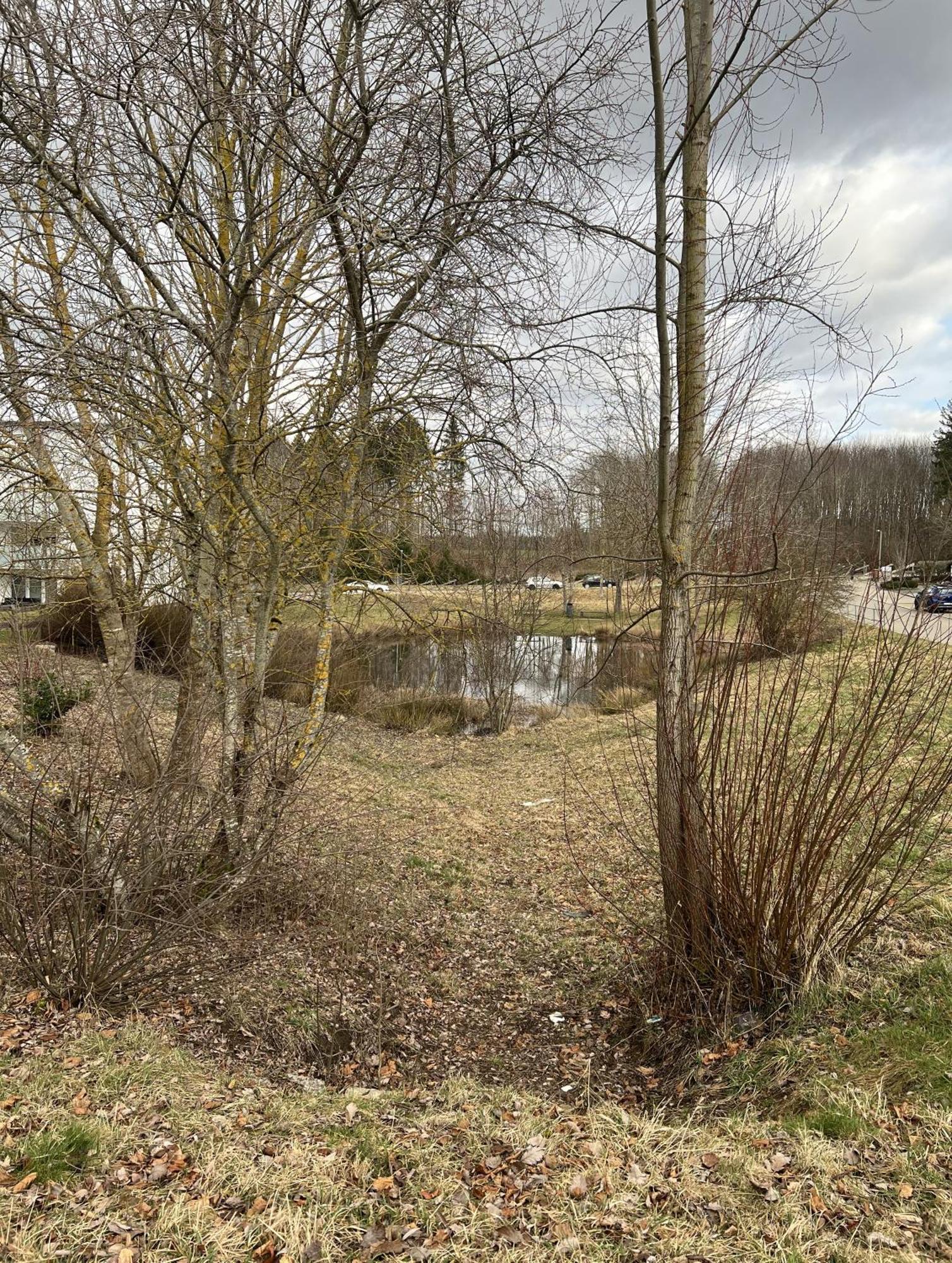 My Home N 35 Villingen-Schwenningen Exteriör bild